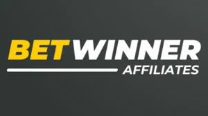 Everything You Need to Know About BetWinner Inscription 19